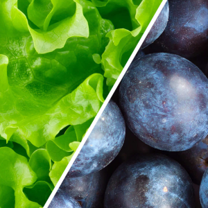 lettuce and blueberries
