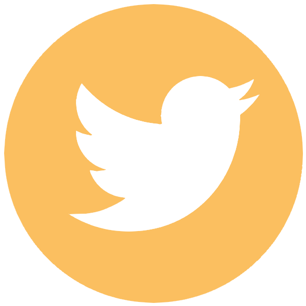 twitter icon